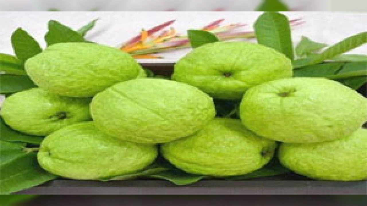 फाइल फोटो
