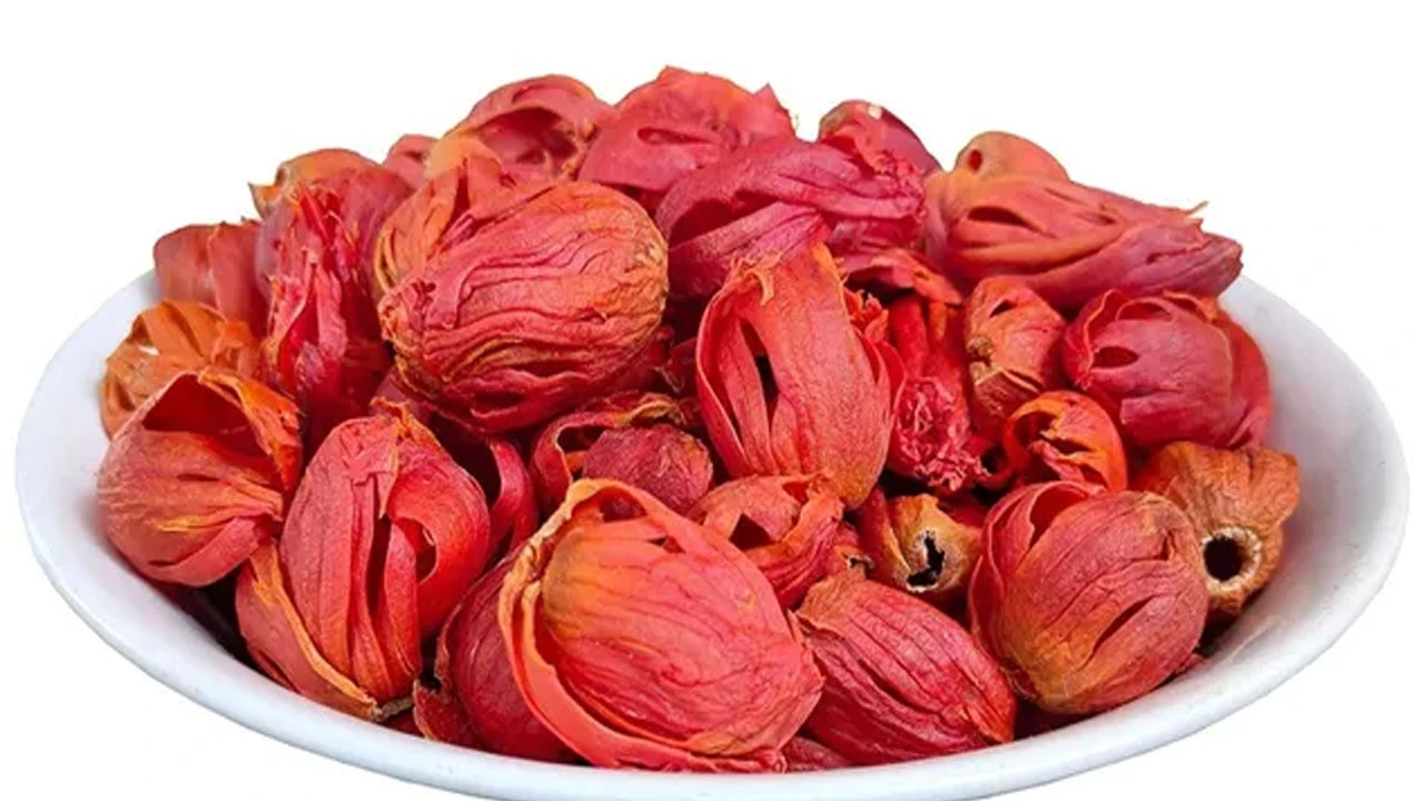 फाइल फोटो